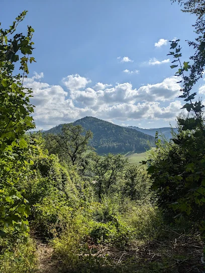 Bild von Bank mit Aussicht gelegen in Buchenbach, Baden-Wurtemberg