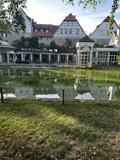 Bild von Birkensee-Park gelegen in Bad Wimpfen, Baden-Wurtemberg