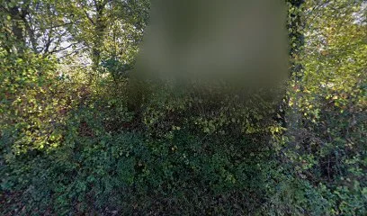 Bild von Camping Hüsingen gelegen in Steinen, Baden-Wurtemberg