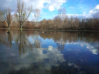 Bild von Central-Park Malsch gelegen in Malsch, Baden-Wurtemberg