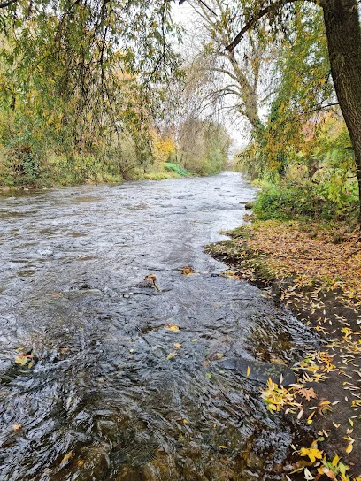 Bild von Dreisam Uferweg Oberau gelegen in Freiburg im Breisgau, Baden-Wurtemberg