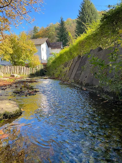 Bild von Enten-Spielplatz gelegen in Königsbach-Stein, Baden-Wurtemberg