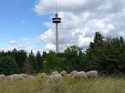 Bild von Fernmeldeturm Dotternhausen gelegen in Dotternhausen, Baden-Wurtemberg