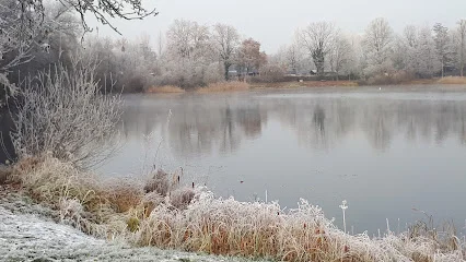 Bild von Fußweg am Wiesensee gelegen in Hemsbach, Baden-Wurtemberg