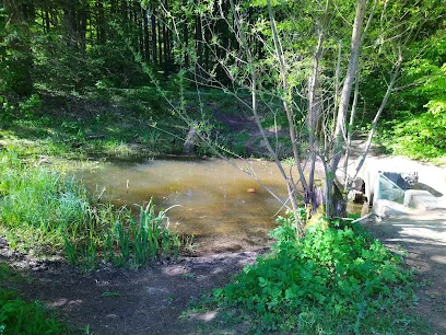 Bild von Fuxipfad Unterwasserwelt gelegen in Mainhardt, Baden-Wurtemberg
