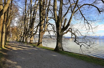 Bild von Gartendenkmal Lindenhofpark gelegen in Lindau, Baden-Wurtemberg
