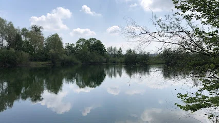 Bild von Gottenheimer Riedweiher gelegen in Gottenheim, Baden-Wurtemberg