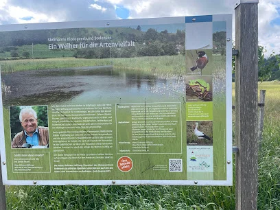 Bild von Heinz-Sielmann-Weiher gelegen in Owingen, Baden-Wurtemberg