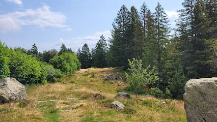 Bild von Horbacher Moor gelegen in Dachsberg (Südschwarzwald), Baden-Wurtemberg