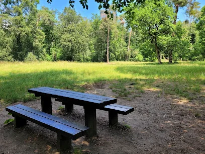 Bild von Karlsternwiese gelegen in Mannheim, Baden-Wurtemberg
