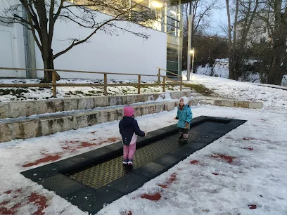 Bild von Kindertrampolin gelegen in Ulm, Baden-Wurtemberg