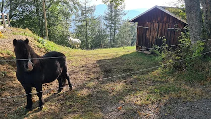 Bild von Kletterspielplatz Breitnau gelegen in Breitnau, Baden-Wurtemberg