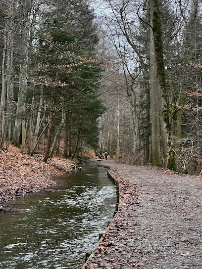 Bild von Krummbach gelegen in Ochsenhausen, Baden-Wurtemberg