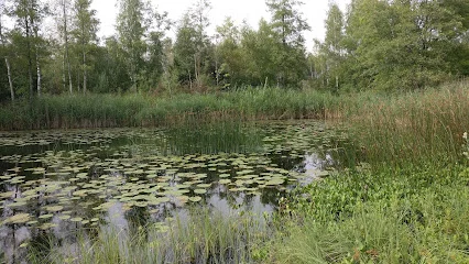 Bild von Kurpark Bad Wurzach gelegen in Bad Wurzach, Baden-Wurtemberg