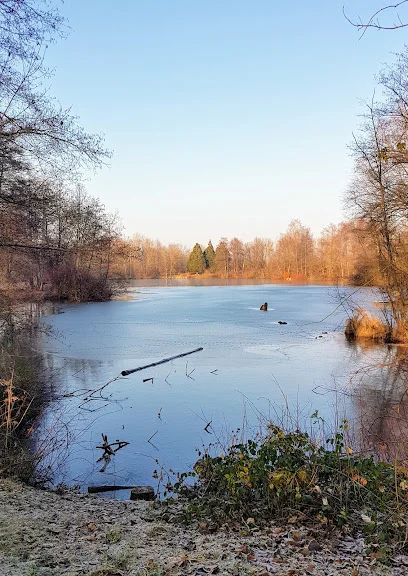 Bild von Markwasen gelegen in Reutlingen, Baden-Wurtemberg