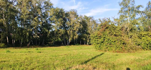 Bild von Ochsenkopfwiese gelegen in Heidelberg, Baden-Wurtemberg