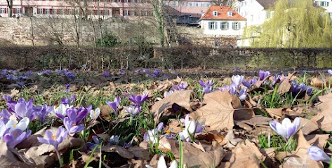 Bild von Planetenpark gelegen in Tübingen, Baden-Wurtemberg