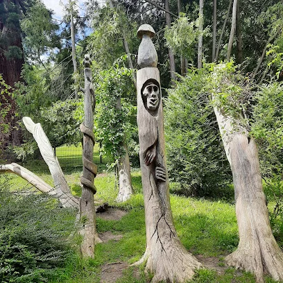 Bild von Riesenlebensbaum gelegen in Überlingen, Baden-Wurtemberg
