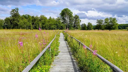 Bild von Schopflocher Moor (Torfgrube) gelegen in Lenningen, Baden-Wurtemberg