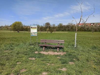 Bild von Sitzbank Enzaue gelegen in Vaihingen an der Enz, Baden-Wurtemberg
