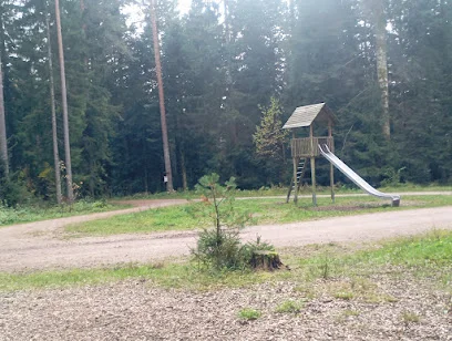 Bild von Spielplatz Hüttenteich gelegen in Freudenstadt, Baden-Wurtemberg