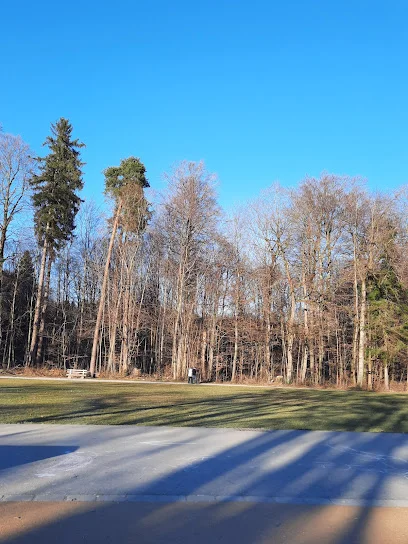 Bild von Spielplatz Karmeliterstraße gelegen in Ravensburg, Baden-Wurtemberg