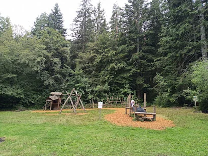 Bild von Spielplatz Pflanzschulhütte gelegen in Baiersbronn, Baden-Wurtemberg