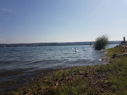 Bild von Spielplatz Schmugglerbucht - Konstanz gelegen in Konstanz, Baden-Wurtemberg