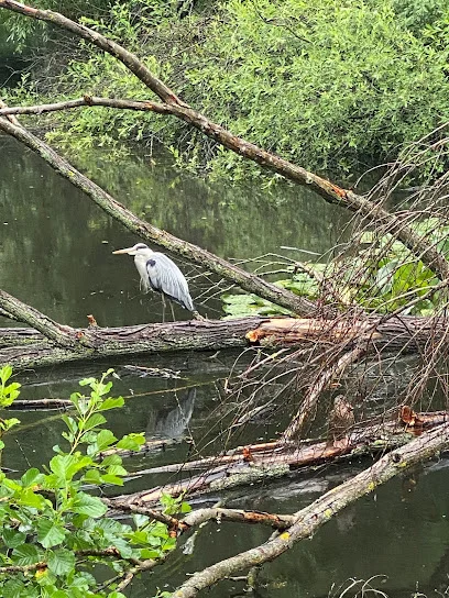 Bild von Springpfuhlpark Sitzplätze gelegen in Berlin, Berlin