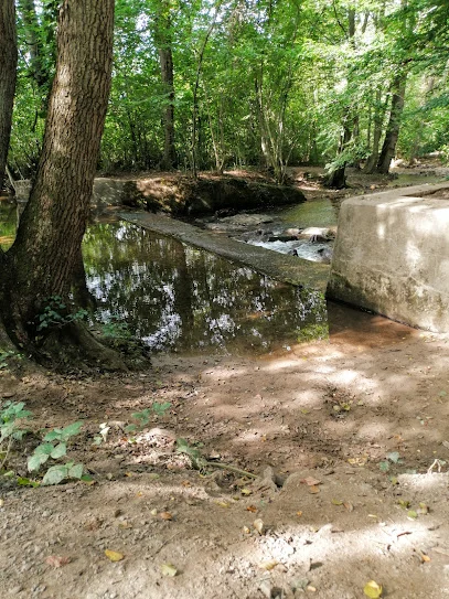 Bild von Waldspielplatz Denzlingen gelegen in Denzlingen, Baden-Wurtemberg