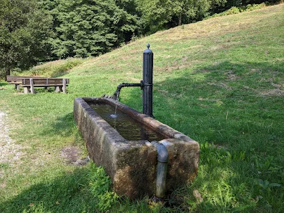 Bild von Wasserbrunnen am Parkplatz gelegen in Loffenau, Baden-Wurtemberg