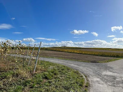 Bild von Wieslocher Bergwäldle gelegen in Wiesloch, Baden-Wurtemberg